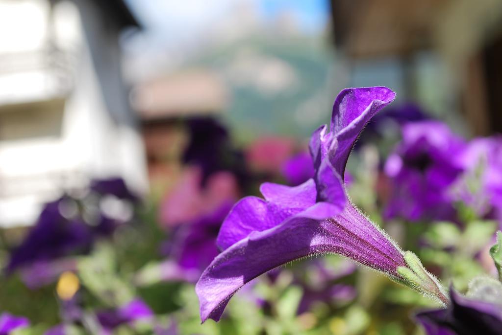 Villa L'Aida 까나제이 외부 사진